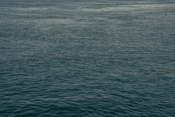 Cazino Jackpot Molly Cazinou Suport